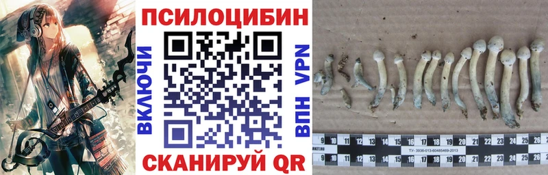 Псилоцибиновые грибы ЛСД  Купить закладки  Красавино 